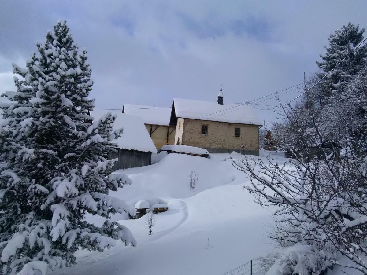 Bel Appartement Au Rez De Chaussee D'Un Chalet Jarrier Exterior foto